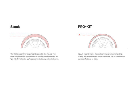 Eibach Pro-Kit EV for 24-25 Tesla Model Y RWD