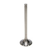 Manley Titanium Exhaust Valve Kit - Big Block Chevrolet - Brodix SR20 - Dart 20 Degree