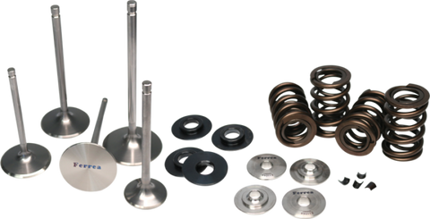 Ferrea Subaru WRX STI Endurance Dual Spring Kit