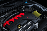 AWE Tuning Audi RS3 / TT RS S-FLO Shortie Carbon Fiber Intake